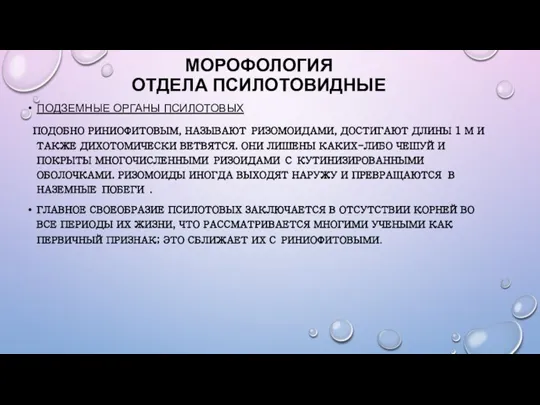 МОРОФОЛОГИЯ ОТДЕЛА ПСИЛОТОВИДНЫЕ ПОДЗЕМНЫЕ ОРГАНЫ ПСИЛОТОВЫХ ПОДОБНО РИНИОФИТОВЫМ, НАЗЫВАЮТ РИЗОМОИДАМИ, ДОСТИГАЮТ ДЛИНЫ