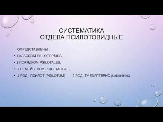 СИСТЕМАТИКА ОТДЕЛА ПСИЛОТОВИДНЫЕ ОПРЕДСТАВЛЕНЫ : 1 КЛАССОМ PSILOTOPSIDA, 1 ПОРЯДКОМ PSILOTALES, 1