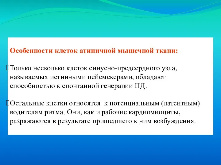 Особенности клеток атипичной мышечной ткани: Только несколько клеток синусно-предсердного узла, называемых истинными