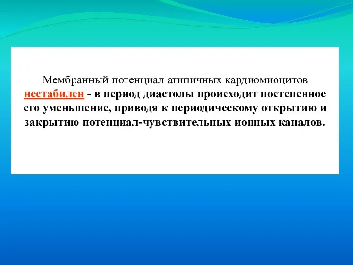 Мембранный потенциал атипичных кардиомиоцитов нестабилен - в период диастолы происходит постепенное его