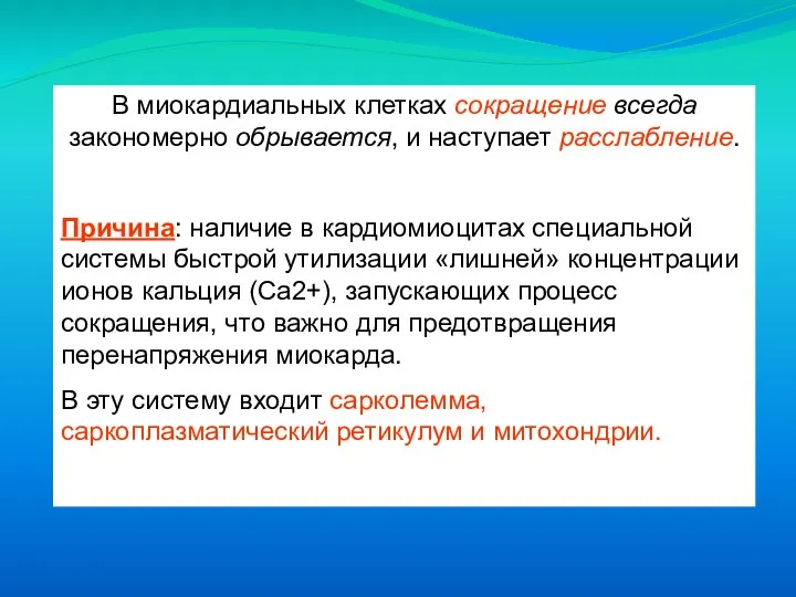 В миокардиальных клетках сокращение всегда закономерно обрывается, и наступает расслабление. Причина: наличие