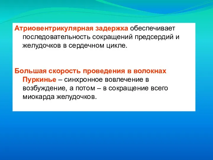 Атриовентрикулярная задержка обеспечивает последовательность сокращений предсердий и желудочков в сердечном цикле. Большая