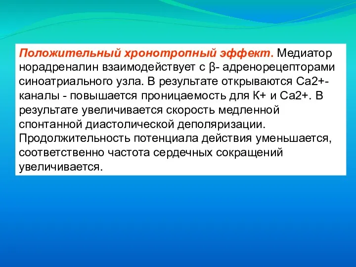 Положительный хронотропный эффект. Медиатор норадреналин взаимодействует с β- адренорецепторами синоатриального узла. В