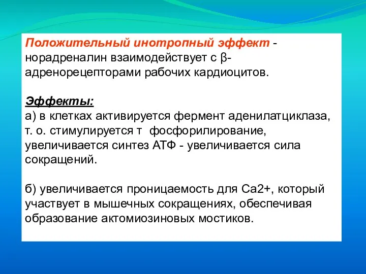 Положительный инотропный эффект - норадреналин взаимодействует с β- адренорецепторами рабочих кардиоцитов. Эффекты: