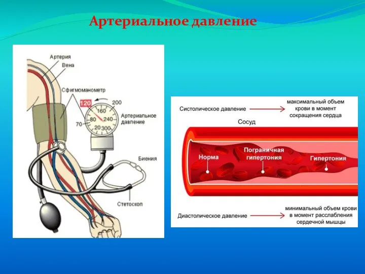 Артериальное давление