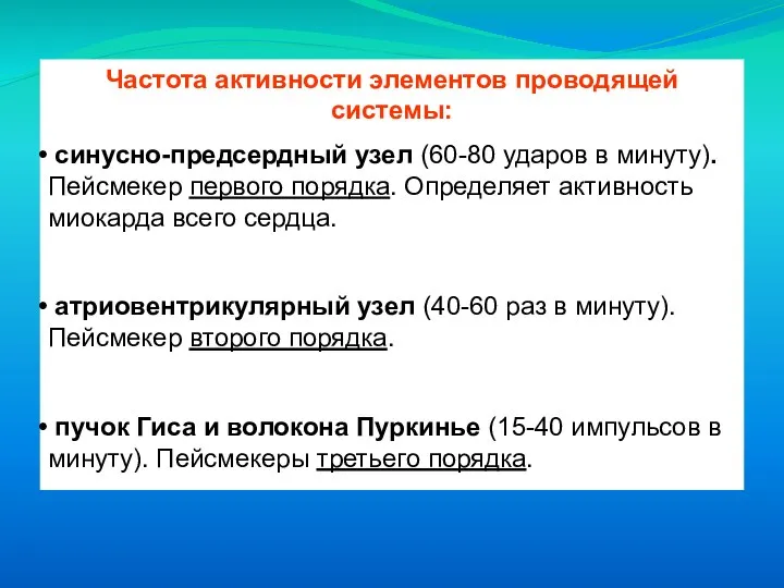 Частота активности элементов проводящей системы: синусно-предсердный узел (60-80 ударов в минуту). Пейсмекер