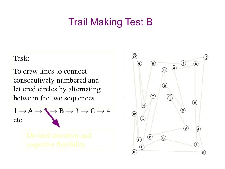 Trail Making Test B Task: To draw lines to connect consecutively numbered