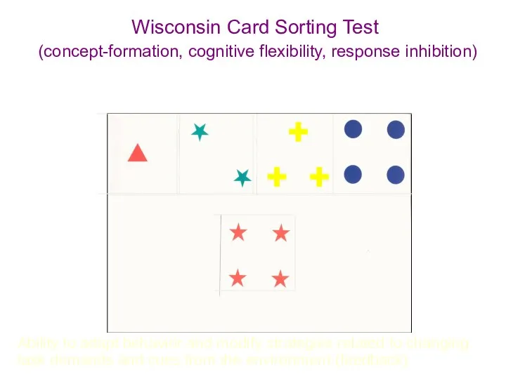 Wisconsin Card Sorting Test (concept-formation, cognitive flexibility, response inhibition) Ability to adapt