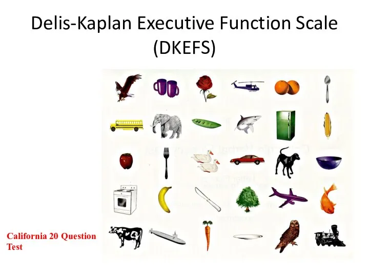 Delis-Kaplan Executive Function Scale (DKEFS) California 20 Question Test