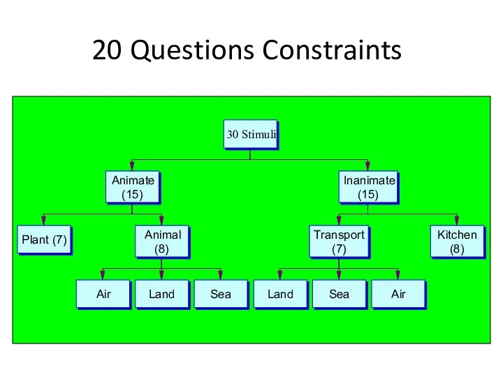 20 Questions Constraints