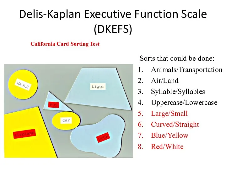 Delis-Kaplan Executive Function Scale (DKEFS) Sorts that could be done: Animals/Transportation Air/Land