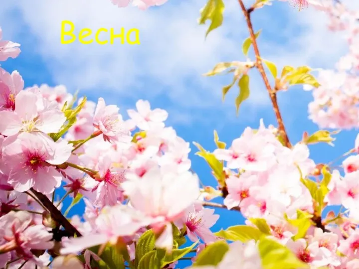 Весна