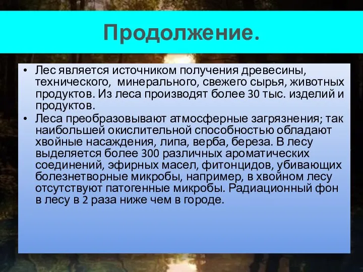 Продолжение. Лес является источником получения древесины, технического, минерального, свежего сырья, животных продуктов.