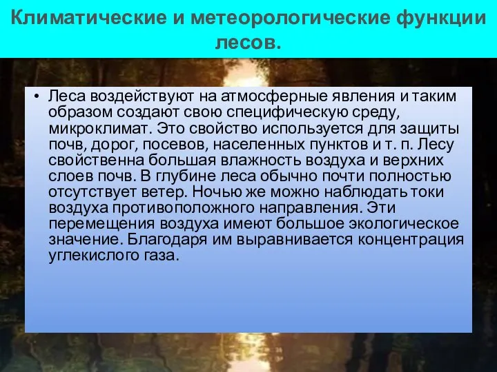 Климатические и метеорологические функции лесов. Леса воздействуют на атмосферные явления и таким