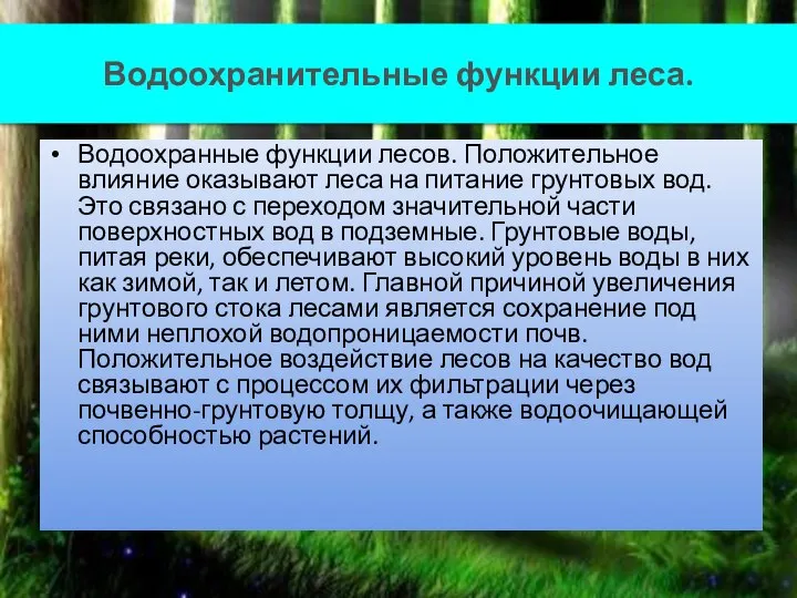 Водоохранительные функции леса. Водоохранные функции лесов. Положительное влияние оказывают леса на питание