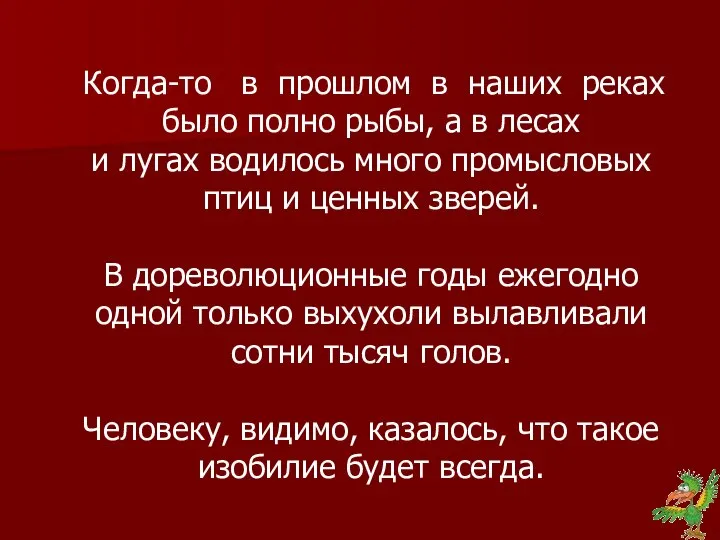 Когда-то в прошлом в наших реках было полно рыбы, а в лесах