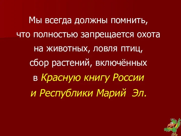 Мы всегда должны помнить, что полностью запрещается охота на животных, ловля птиц,