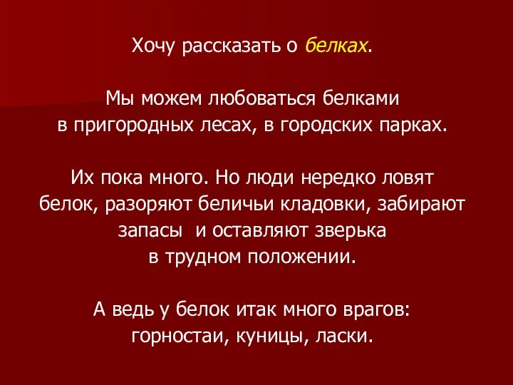 Хочу рассказать о белках. Мы можем любоваться белками в пригородных лесах, в