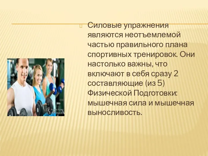 Силовые упражнения являются неотъемлемой частью правильного плана спортивных тренировок. Они настолько важны,