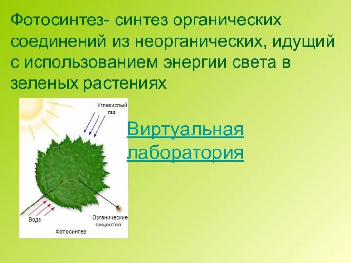 Фотосинтез- синтез органических соединений из неорганических, идущий с использованием энергии света в зеленых растениях Виртуальная лаборатория