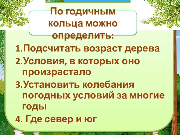 По годичным кольца можно определить: 1.Подсчитать возраст дерева 2.Условия, в которых оно