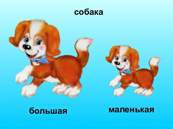 собака большая маленькая