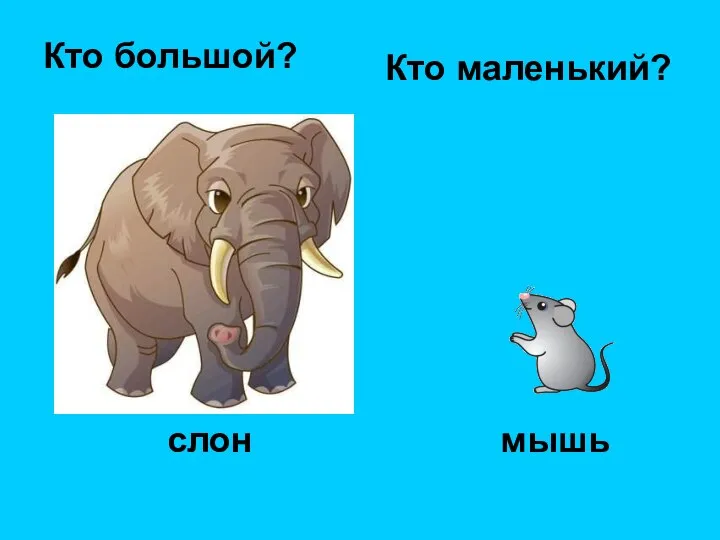 Кто большой? Кто маленький? слон мышь