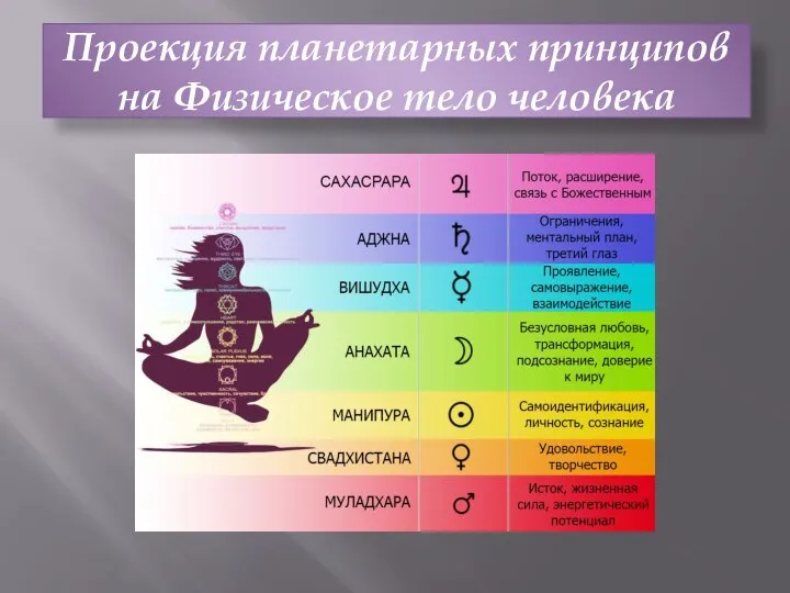 Проекция планетарных принципов на Физическое тело человека