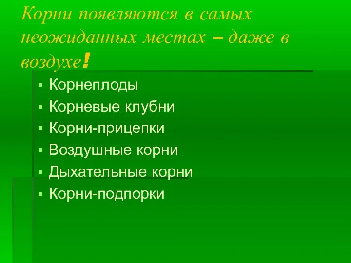 Корни появляются в самых неожиданных местах – даже в воздухе! Корнеплоды Корневые