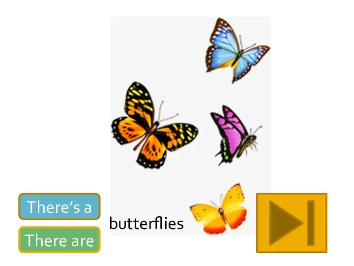 There’s a There are butterflies
