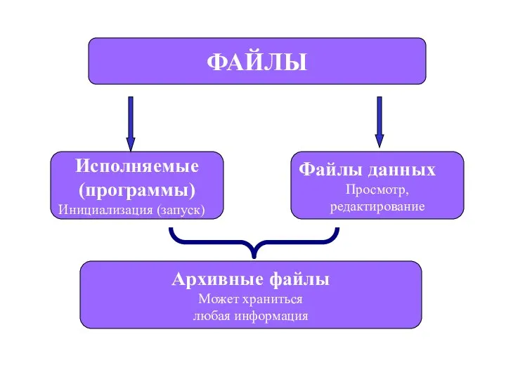 ФАЙЛЫ Исполняемые (программы) Инициализация (запуск) Архивные файлы Может храниться любая информация Файлы данных Просмотр, редактирование