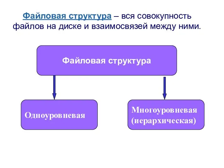 Файловая структура – вся совокупность файлов на диске и взаимосвязей между ними.