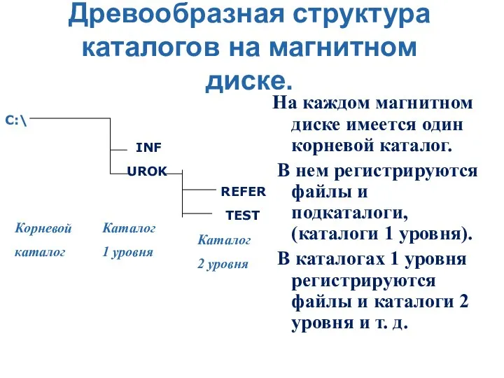 Древообразная структура каталогов на магнитном диске. На каждом магнитном диске имеется один