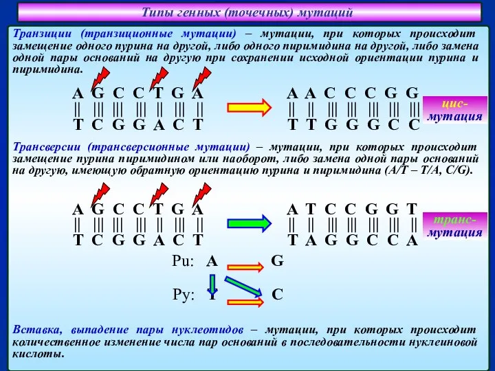Типы генных (точечных) мутаций Вставка, выпадение пары нуклеотидов – мутации, при которых