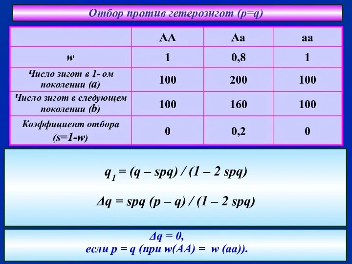 Отбор против гетерозигот (p=q) Δq = 0, если p = q (при