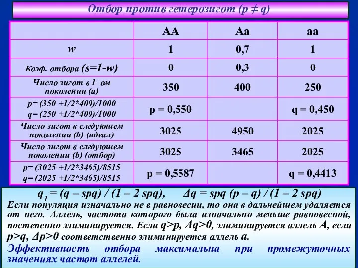 Отбор против гетерозигот (p ≠ q) q1 = (q – spq) /