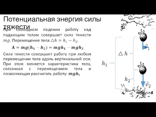 Потенциальная энергия силы тяжести