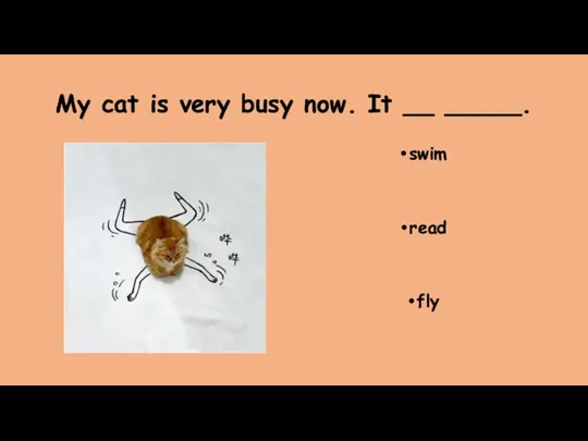 My cat is very busy now. It __ _____. swim read fly