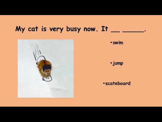 My cat is very busy now. It __ _____. swim jump scateboard