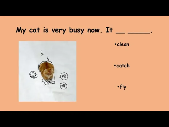 My cat is very busy now. It __ _____. clean catch fly