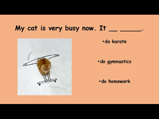 My cat is very busy now. It __ _____. do karate do gymnastics do homework