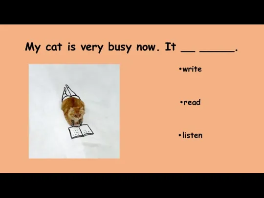 My cat is very busy now. It __ _____. write read listen