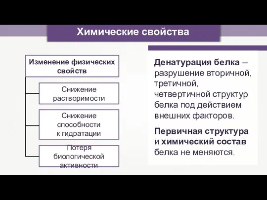 Химические свойства Денатурация белка — разрушение вторичной, третичной, четвертичной структур белка под