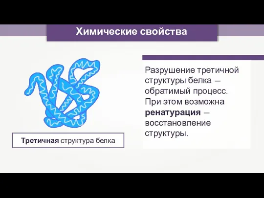 Химические свойства Разрушение третичной структуры белка — обратимый процесс. При этом возможна