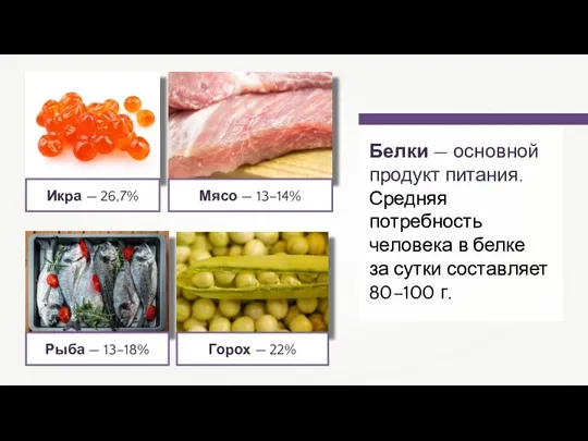 Белки — основной продукт питания. Средняя потребность человека в белке за сутки