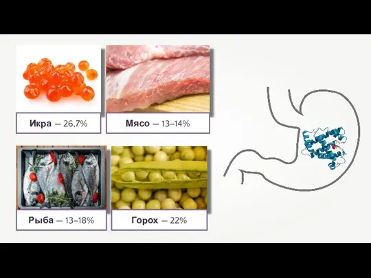 Икра — 26,7% Мясо — 13–14% Рыба — 13–18% Горох — 22%