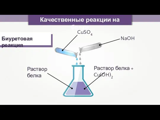 Качественные реакции на белки Биуретовая реакция Раствор белка NaOH Раствор белка + Cu(OH)2 CuSO4