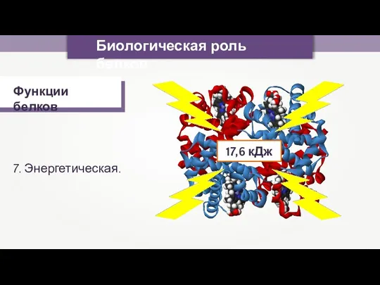 Биологическая роль белков Функции белков 7. Энергетическая. 17,6 кДж