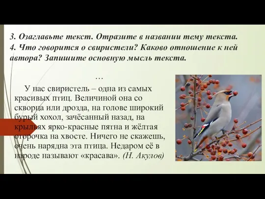 3. Озаглавьте текст. Отразите в названии тему текста. 4. Что говорится о