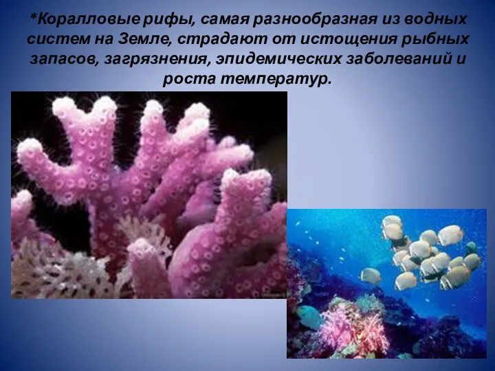 *Коралловые рифы, самая разнообразная из водных систем на Земле, страдают от истощения